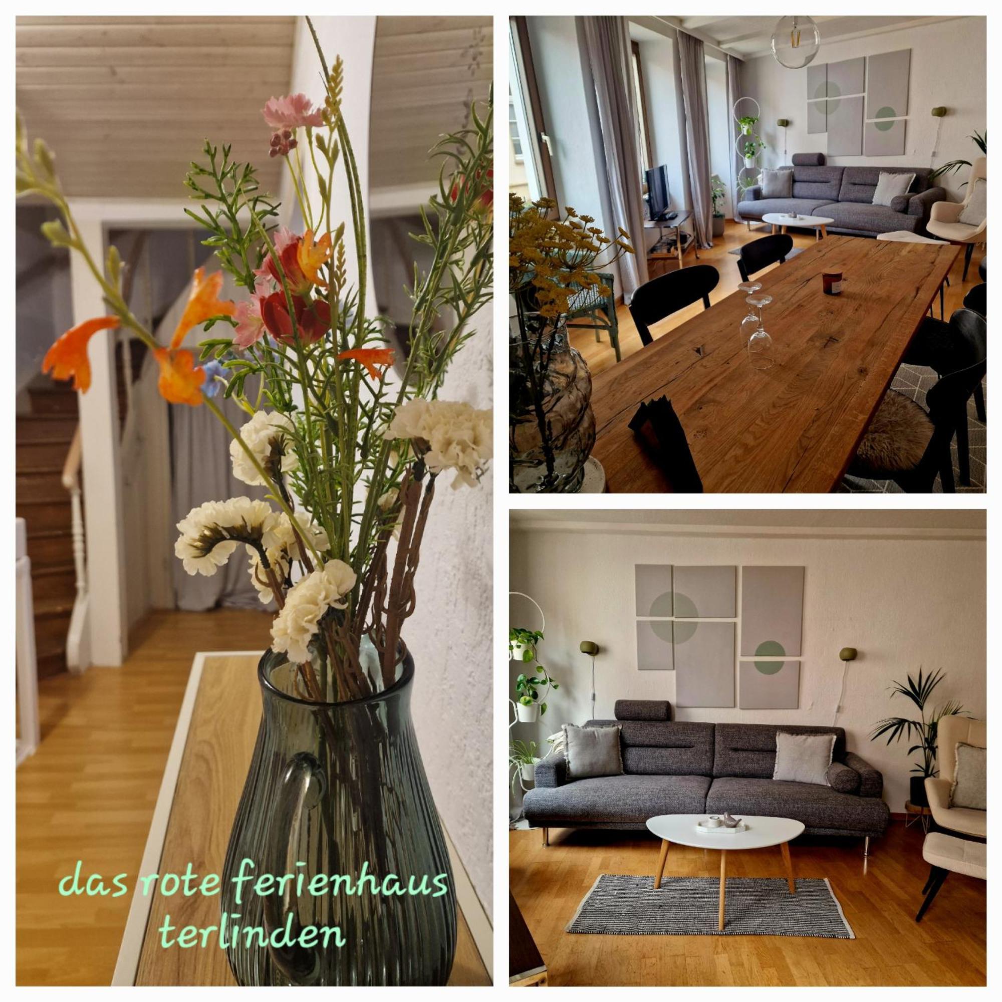 ליזר Das Rote Ferienhaus Terlinden מראה חיצוני תמונה